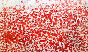 Bild von Steffi